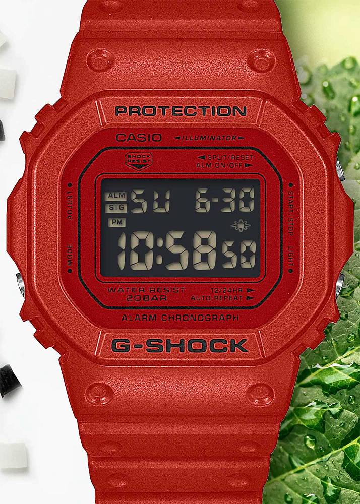DW-5600RRB-4