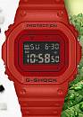 DW-5600RRB-4